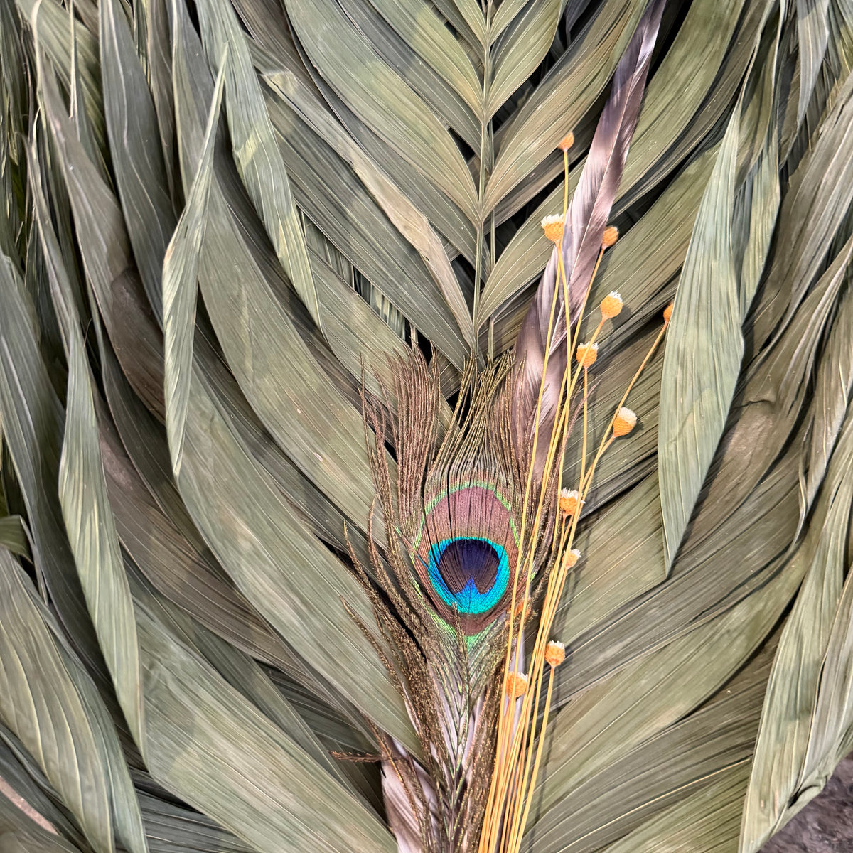 Commodore Palm Chakapa 25" With Peacock and Happy Flowers
