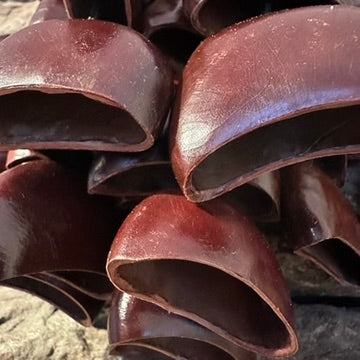 Sea Rattle