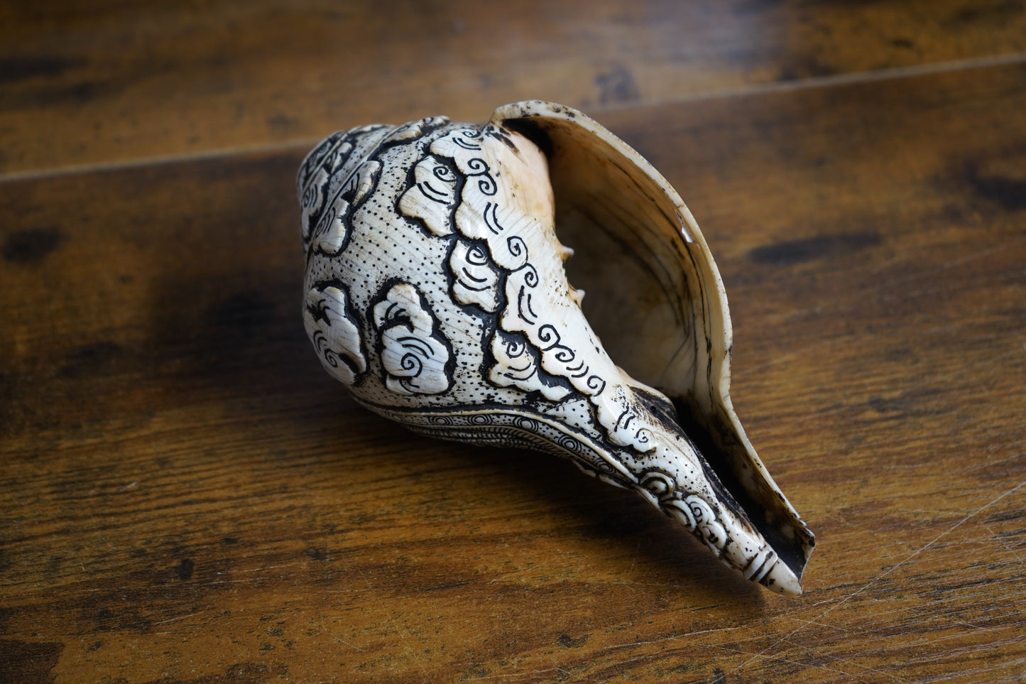 Vishnu "Shankha" Conch, Handcarved Ritual and Ceremonial Piece