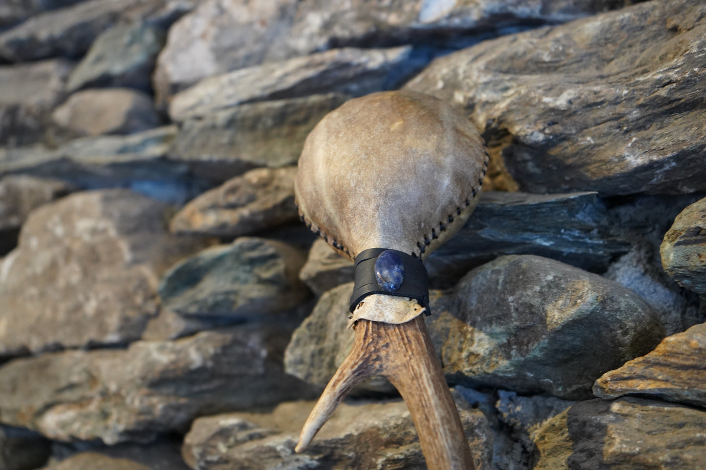 "The Pale Rider" 3-Point Antler Rattle 14"