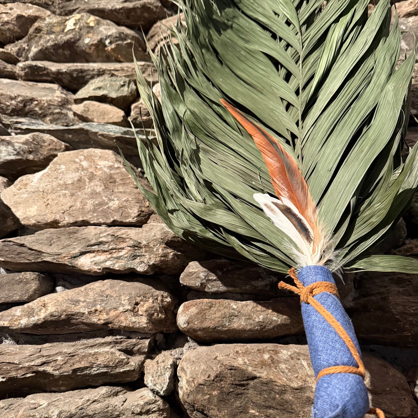Commodore Palm Chakapa 25" Blue with Tan Cord