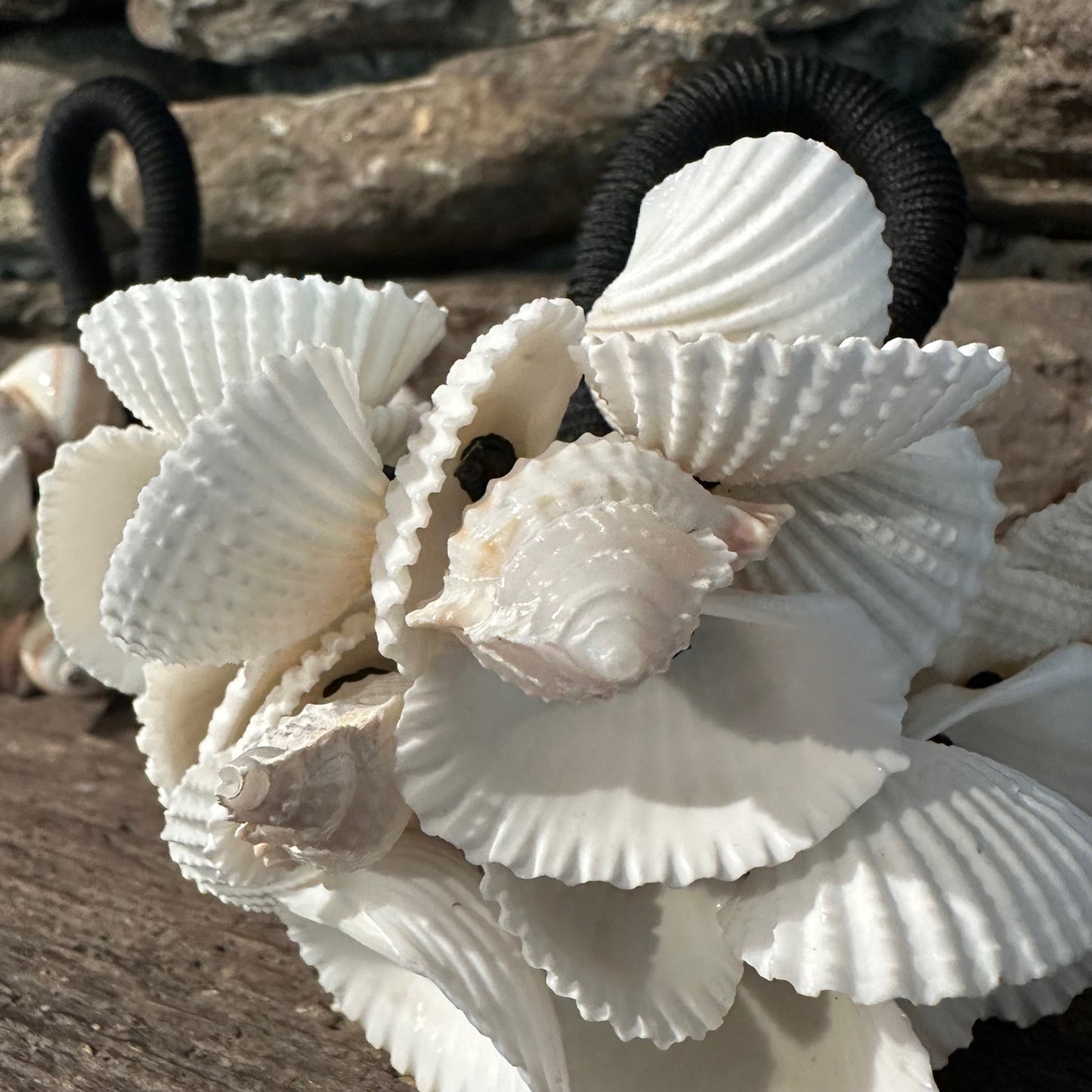 Set of (2) Sea Shell Rattles