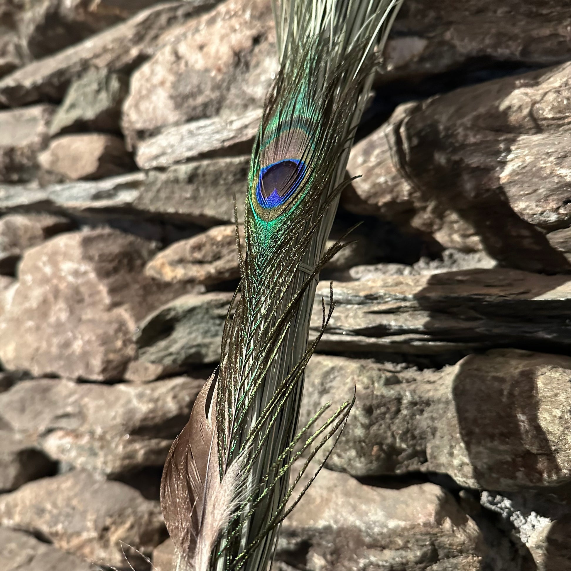 Beargrass Chakapa 22" Light Blue Fabric with Black Trim & Grey Cord