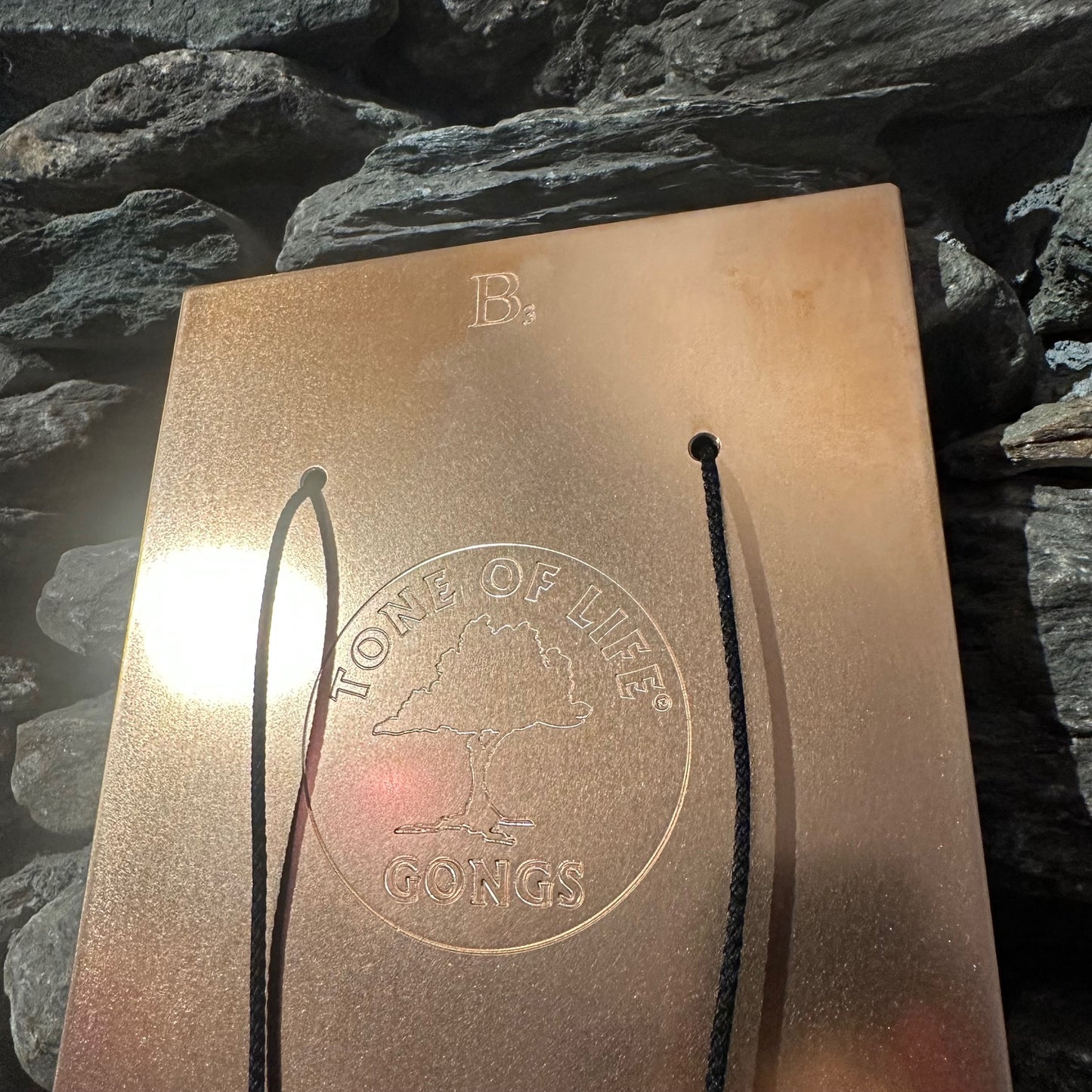Tone of Life Bronze Bell Plates