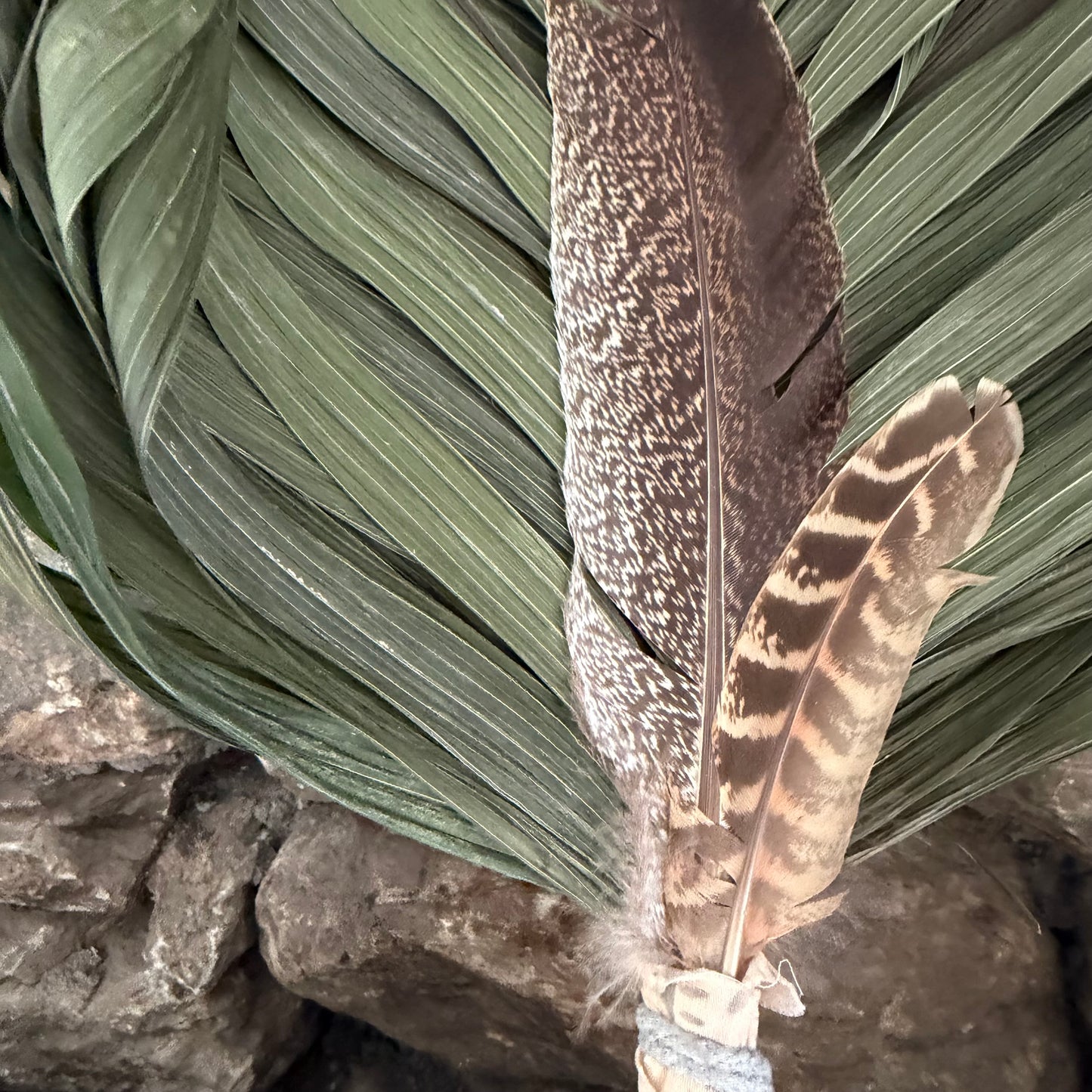 Commodore Palm Chakapa 25" Peach Fabric with Grey Cord