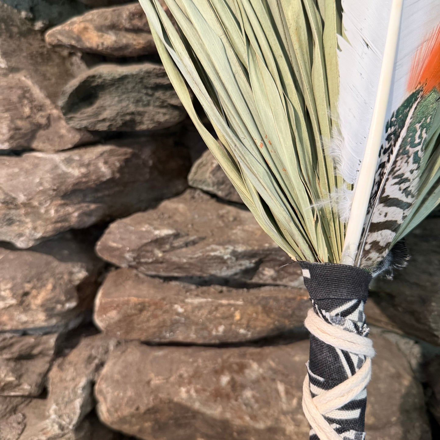 Fan Palm Chakapa 22" Black & White Canvas with Cream Cord