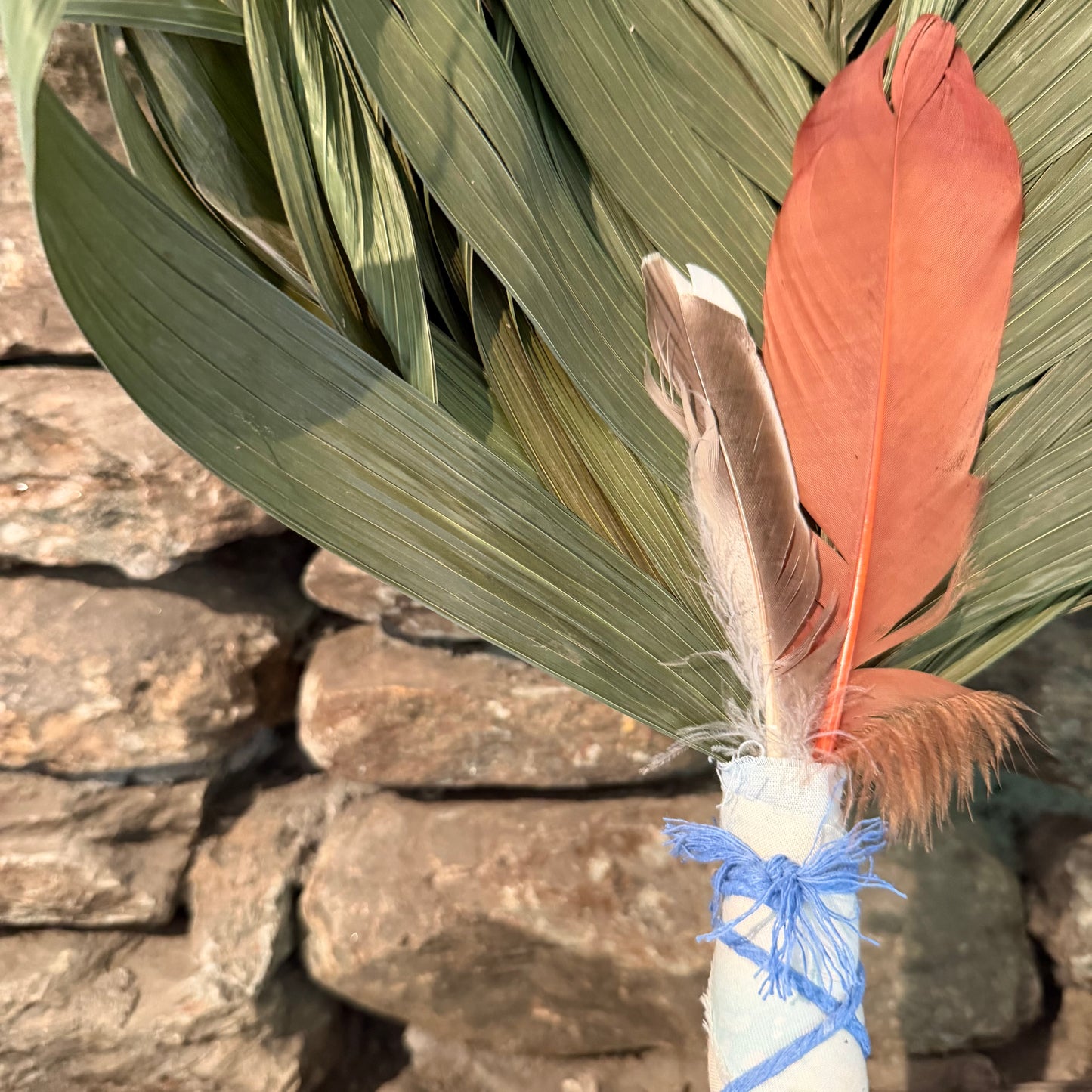 Commodire Palm Chakapa 25" Pastel Fabric with Blue Cord