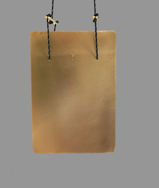 Neptune Oblong Bass Gong Plate 211 Hz