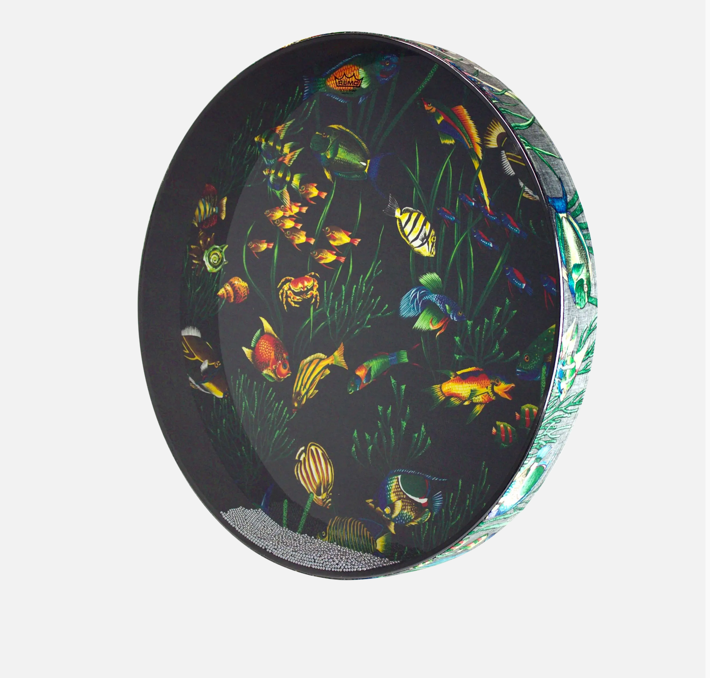 Remo 22"Aqua Underwater Fish Ocean Drum (Used) 20% Off