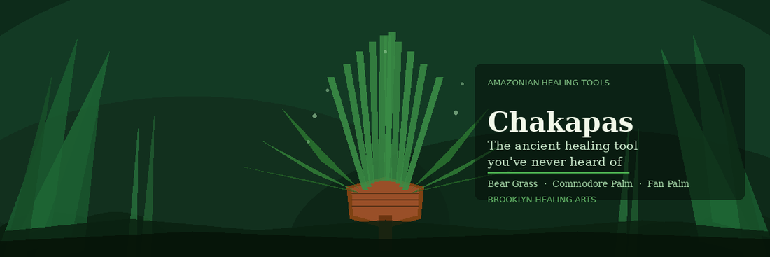 Chakapas: The Amazonian Healing Tool You've Never Heard Of