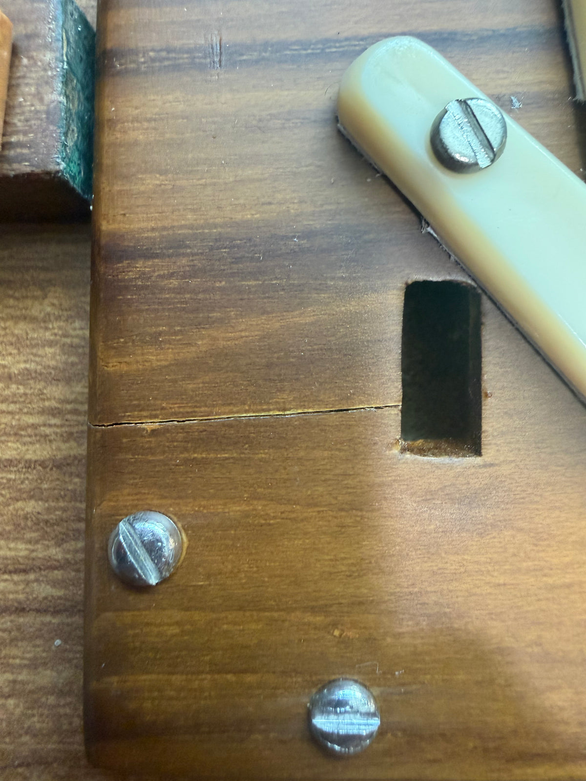 Standard Shruti Box - Brooklyn Healing Arts C3-C4 (cracked faceplate)