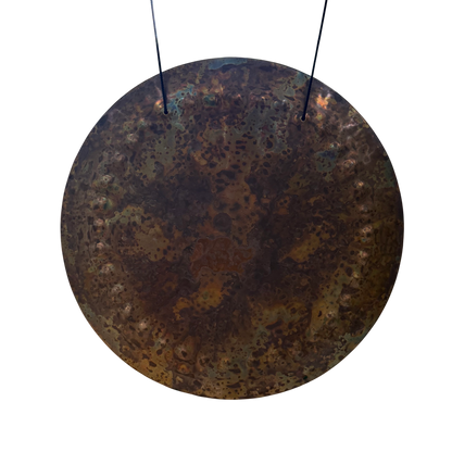 Ryan Shelledy 12" Nickel Silver Gong #1