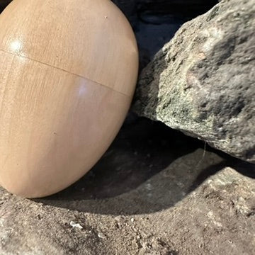 Wooden Egg Shaker