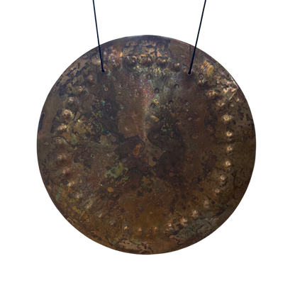 Ryan Shelledy 12" Nickel Silver Gong #2