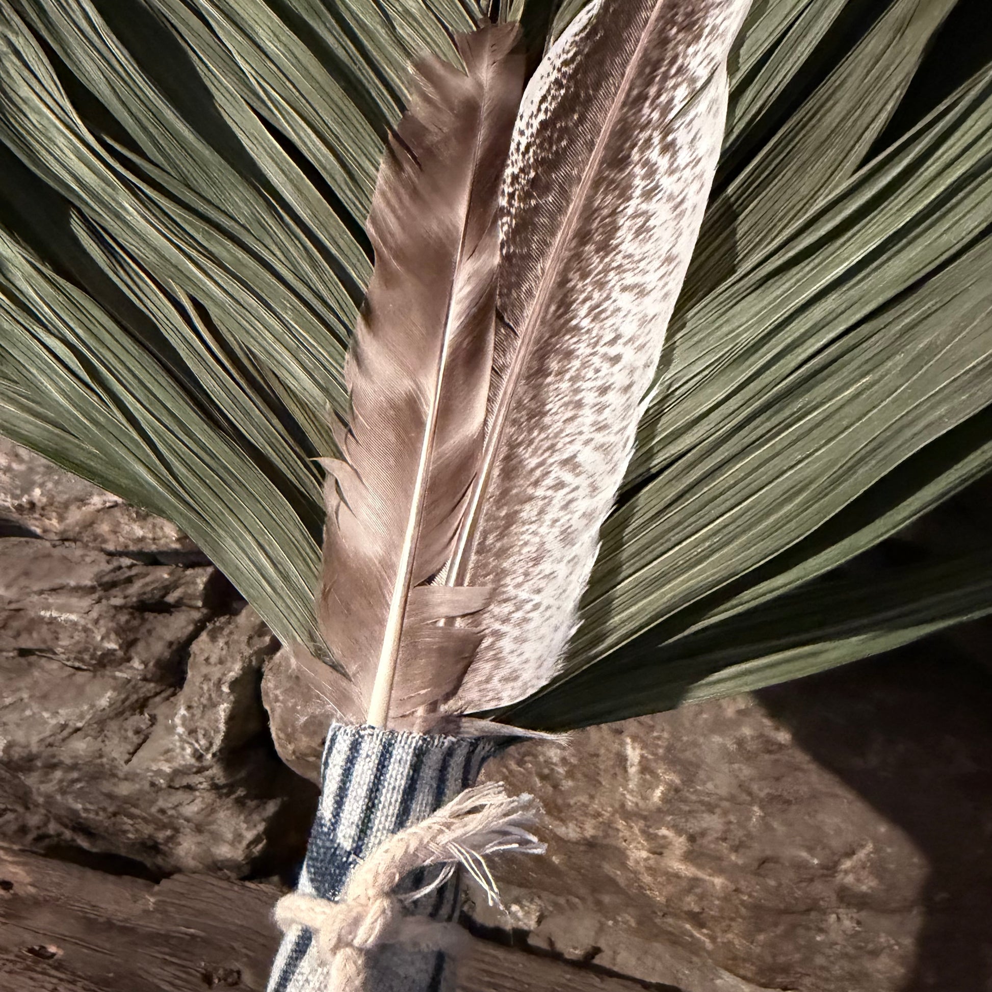Commodire Palm Chakapa 25" Denim with Cream Cord