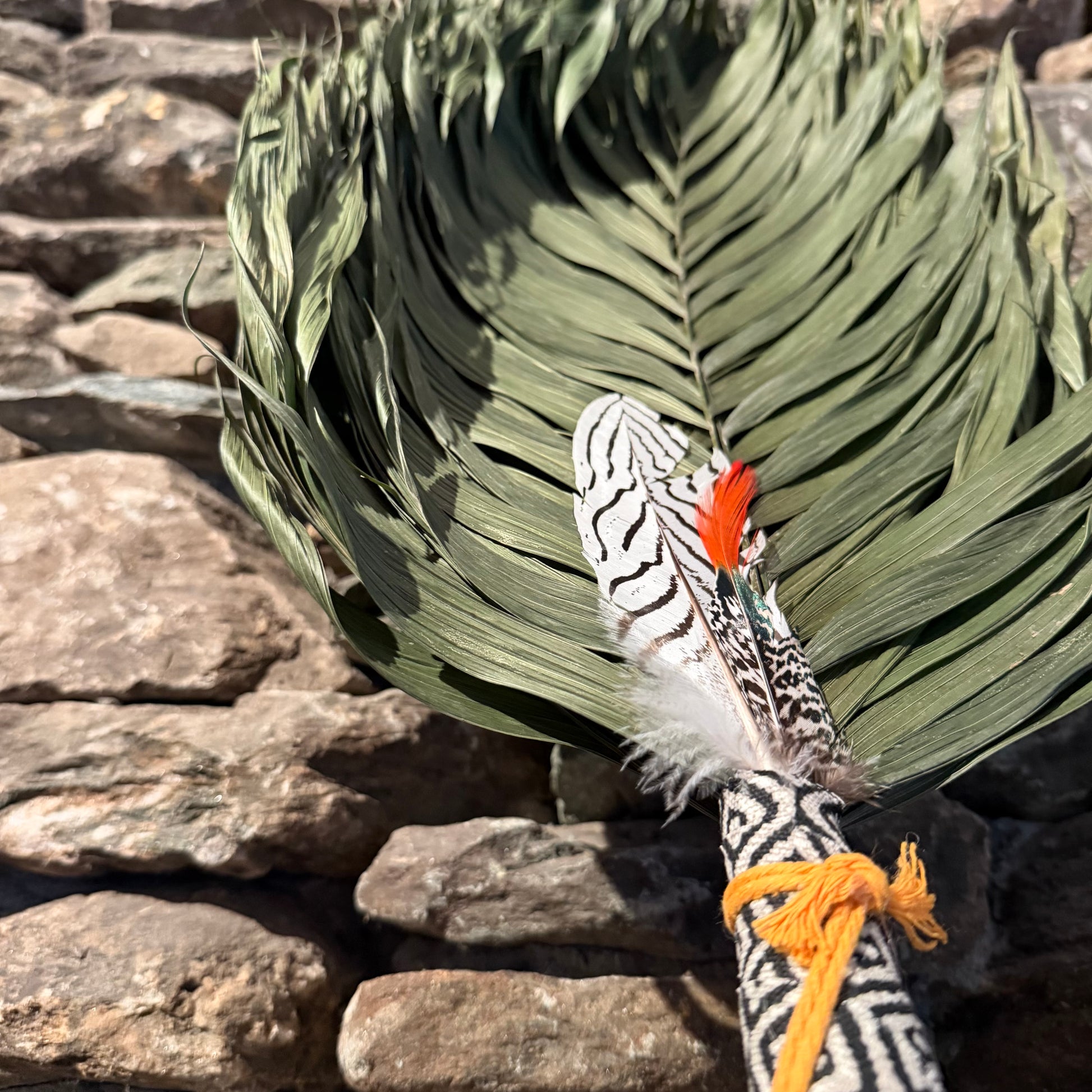 Commodire Palm Chakapa 25" Black & Grey with Mustard Cord