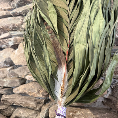 Commodore Palm Chakapa 25" Lavender & White with Purple Cord