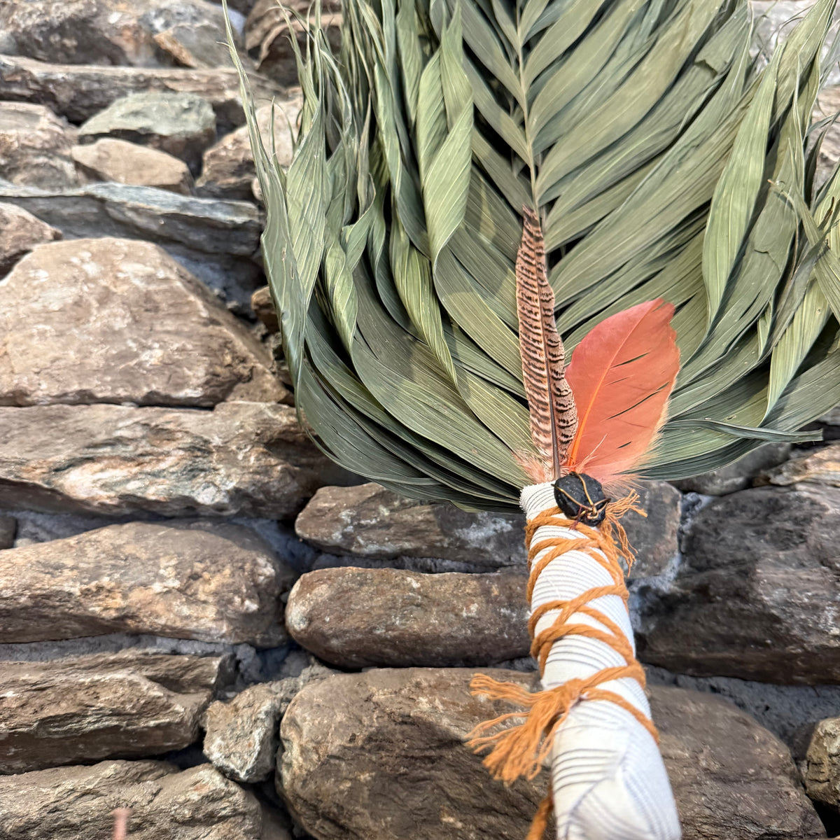 Commodore Palm Chakapa 25" With Pheasant and Tektites
