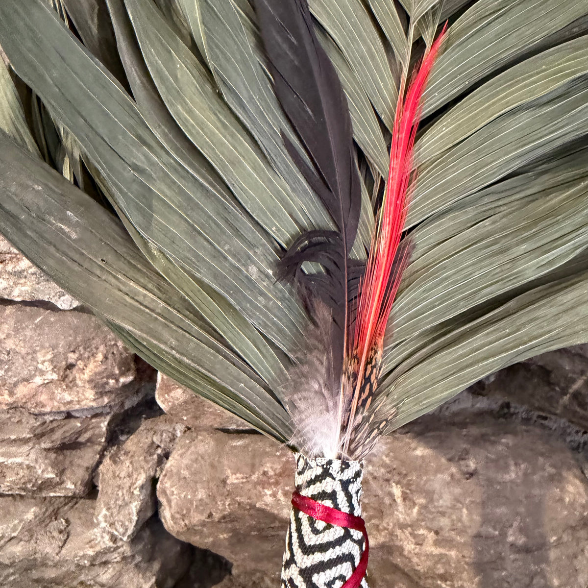 Commodore Palm Chakapa 25" Black & Grey with Red Cord