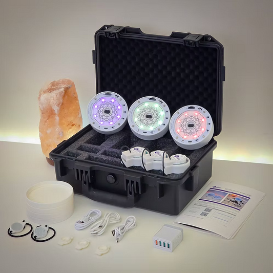 Musical Mushroom Set of 3 with Case