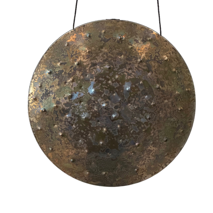 Ryan Shelledy 22" Earth Gong Nickel Silver "Earthmover"