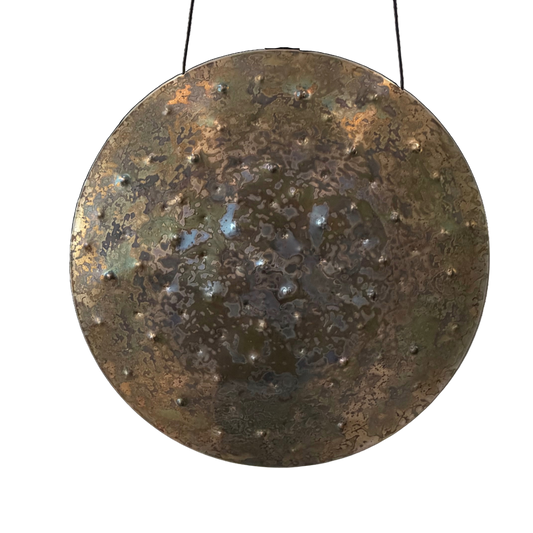Ryan Shelledy 22" Earth Gong Nickel Silver "Earthmover"