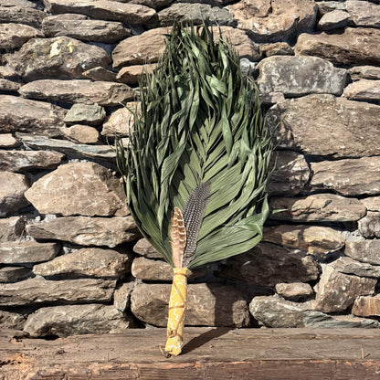 Commodire Palm Chakapa 25" Yellow & White with Tan Cord