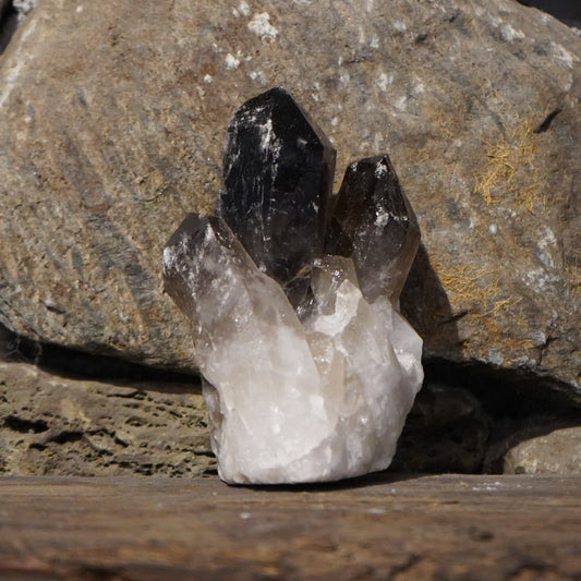 Smokey Quartz Cluster 2 lbs 1.6 oz