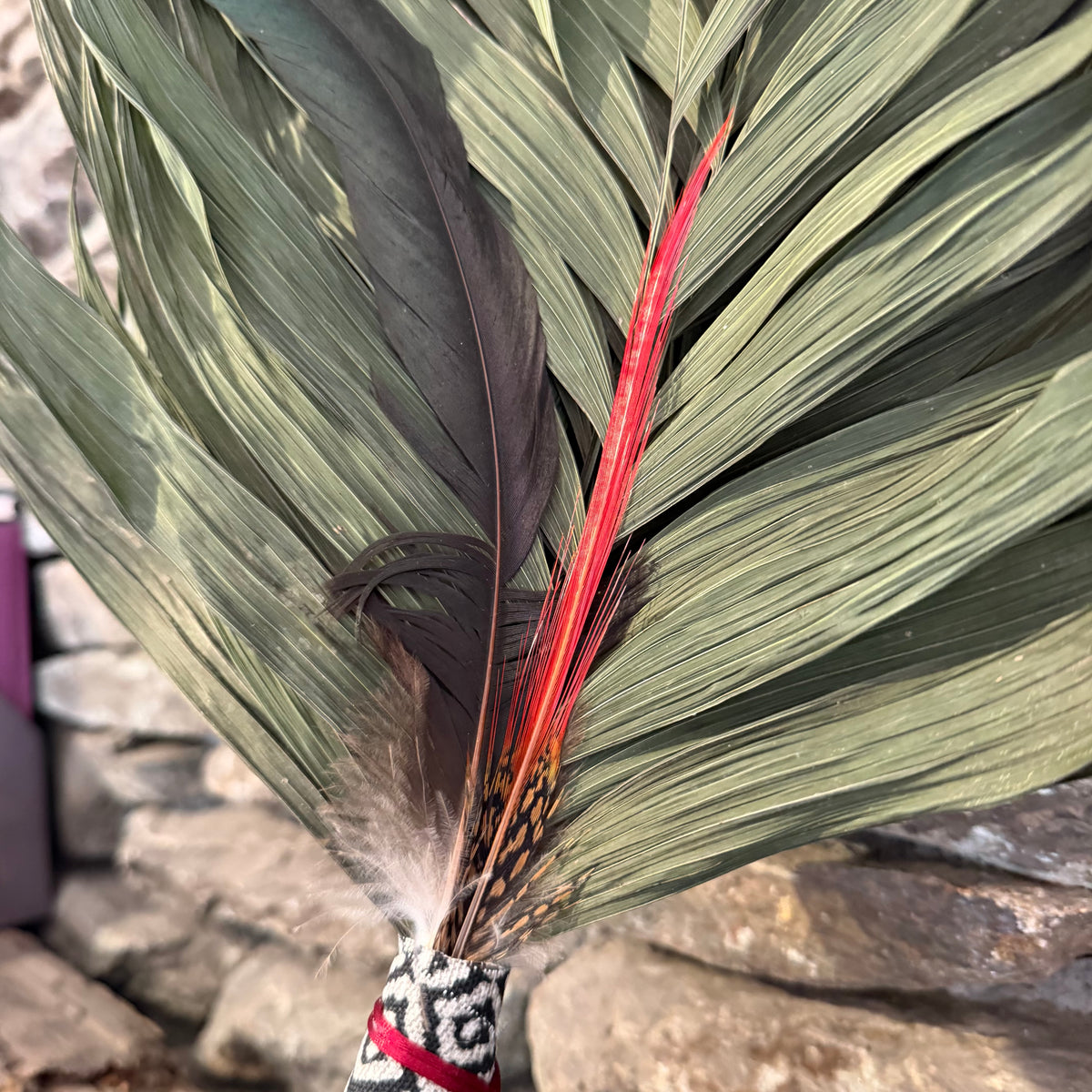 Commodore Palm Chakapa 25" Black & Grey with Red Cord