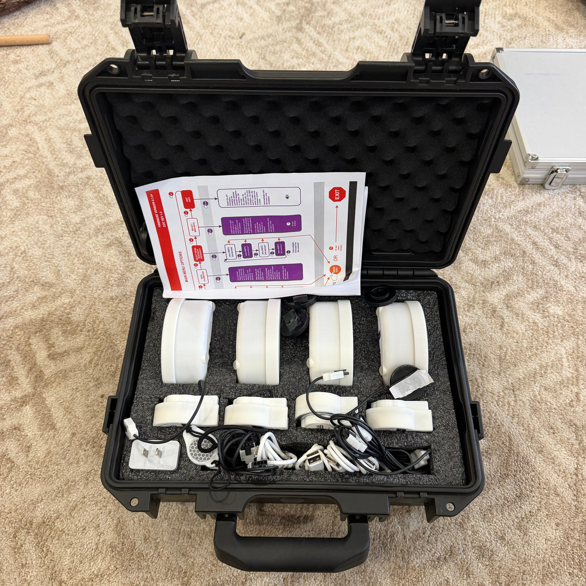 Musical Mushrooms Set of 4 With Case
