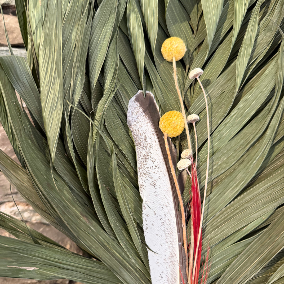 Commodore Palm Chakapa 25" With Turkey and Button Flowers