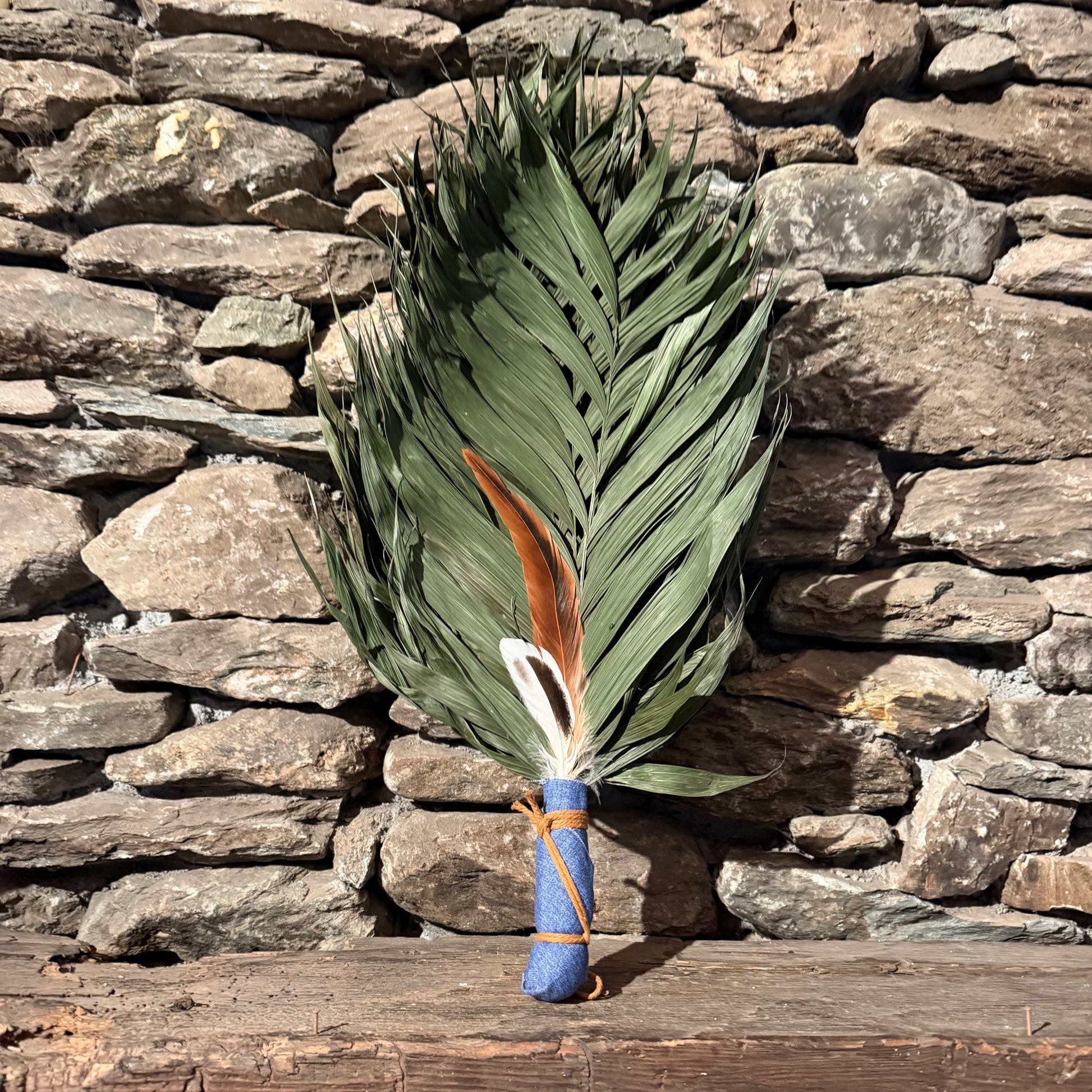 Commodore Palm Chakapa 25" Blue with Tan Cord