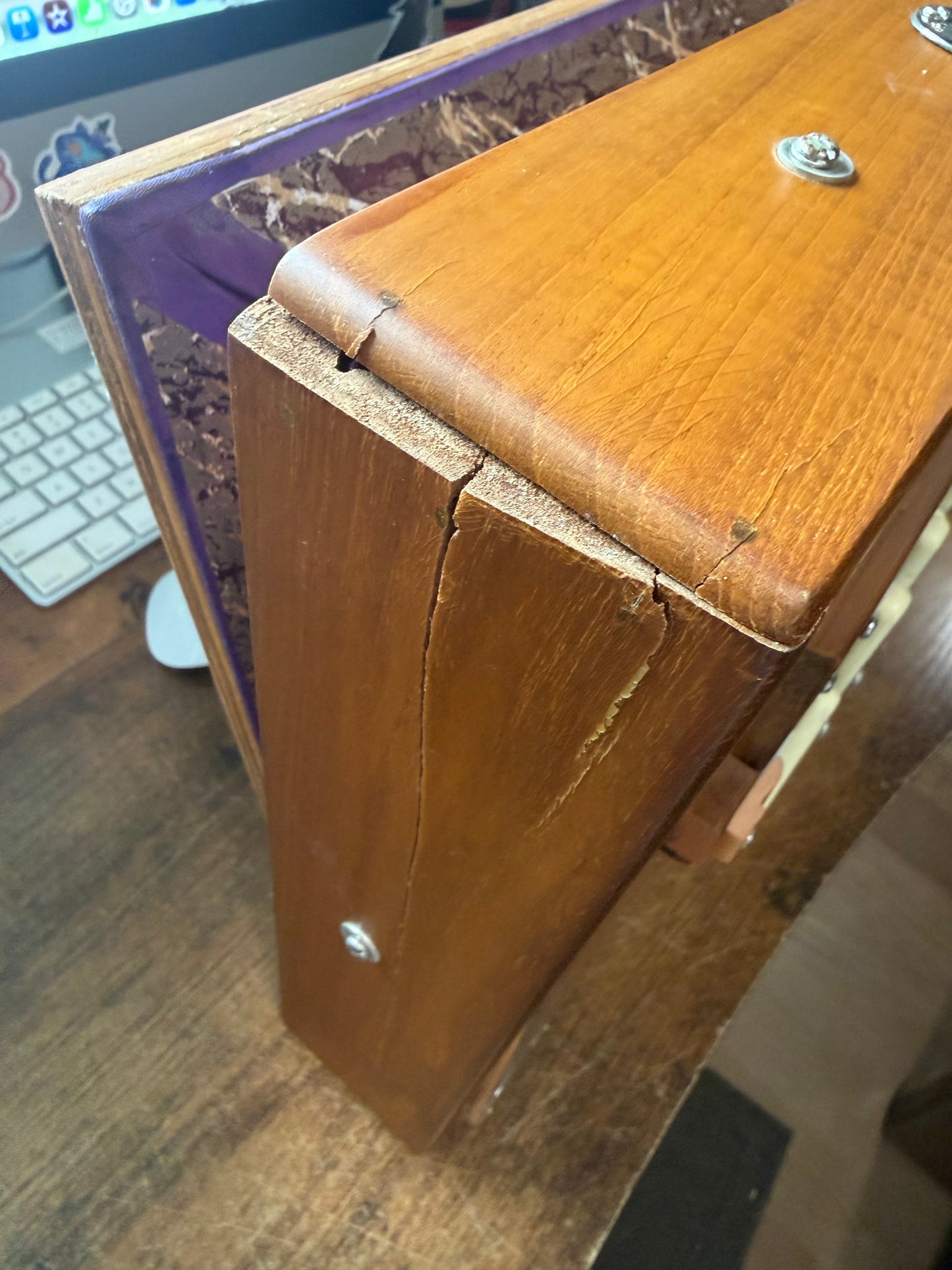 Standard Shruti Box -  Brooklyn Healing Arts C3-C4 (Cracked Frame)