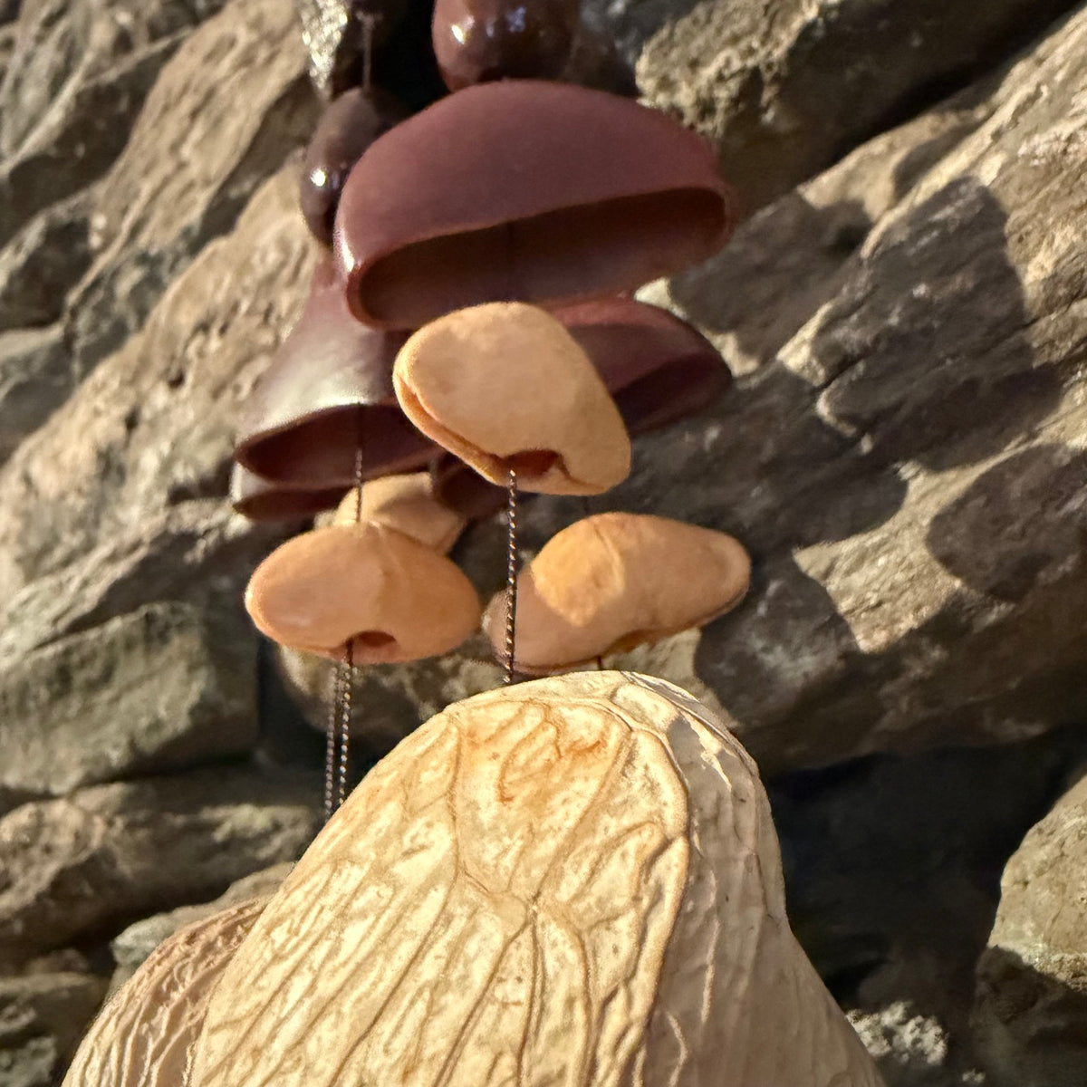 Small Multi Seed Water Shaker 19"