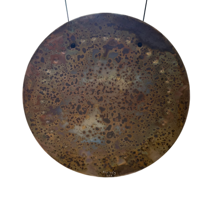 Ryan Shelledy 12" Nickel Silver Gong #1
