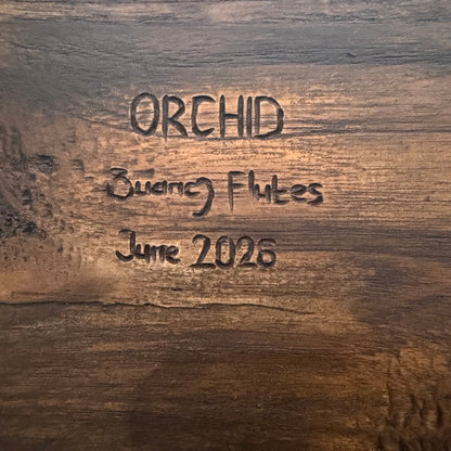 Orchid Craved Drone Flute C#-F# 432Hz Aeolian Scale