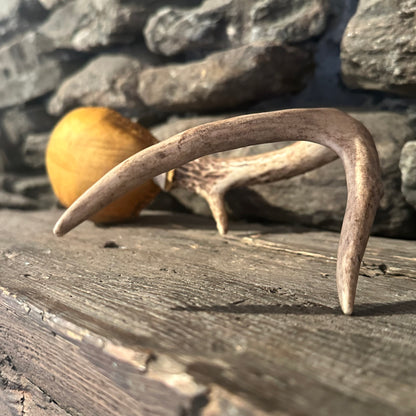 "The Deserts Lament" Antler Rattle 12"