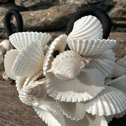 Set of (2) Sea Shell Rattles
