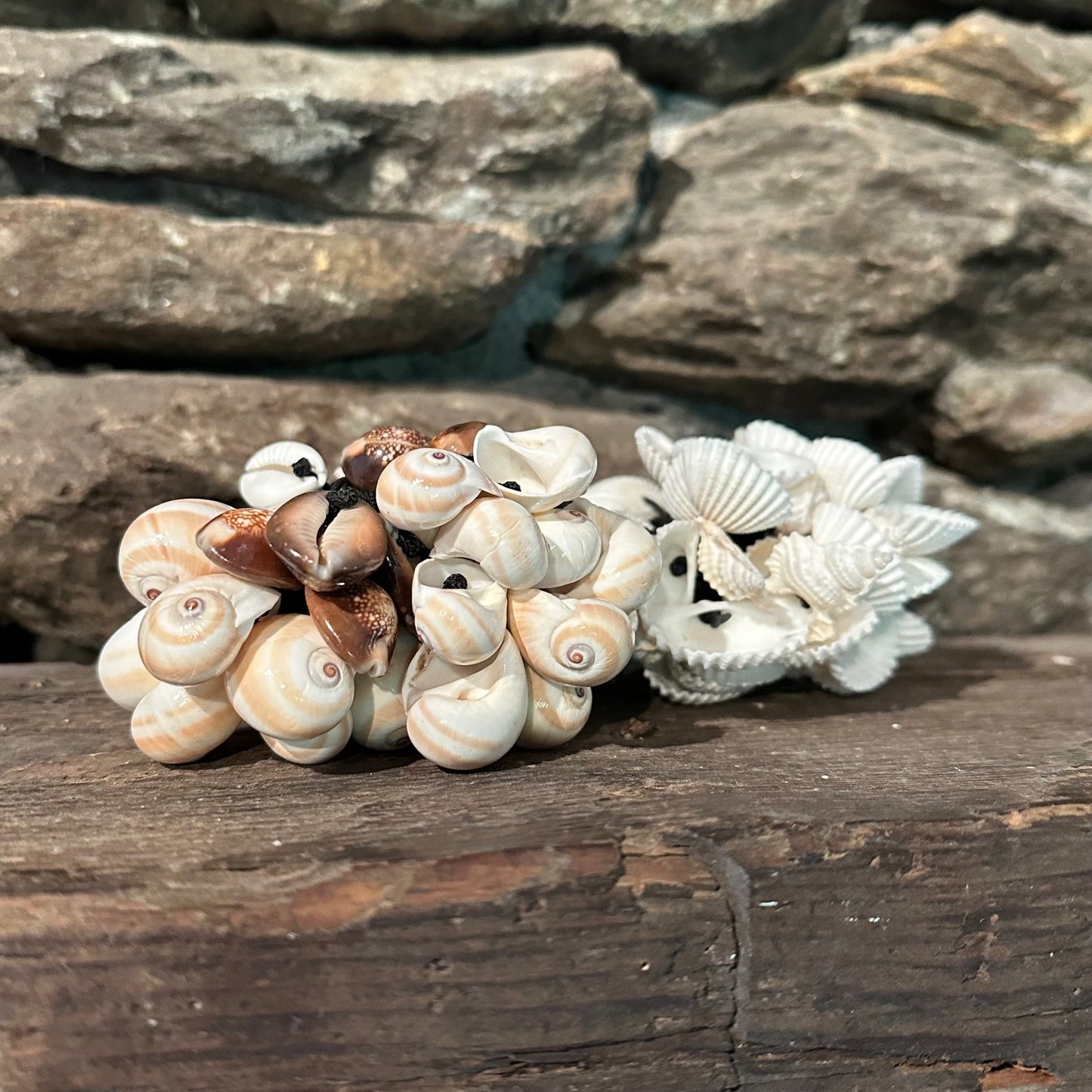 Set of (2) Sea Shell Rattles