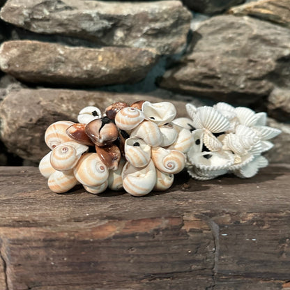 Set of (2) Sea Shell Rattles