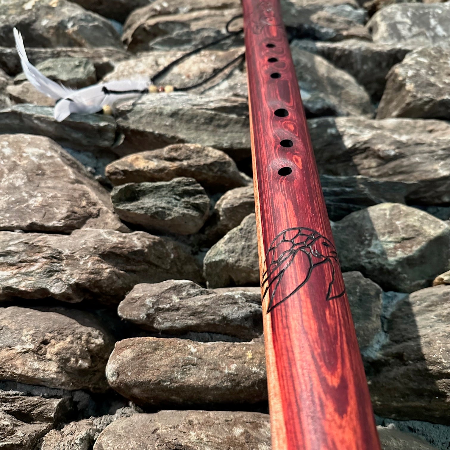 Sea Turtle Borneo Redwood 25" D-Minor Pentatonic 432Hz