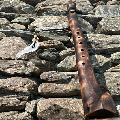 Forest Branch Acacia 22" F-Aeolian 432Hz