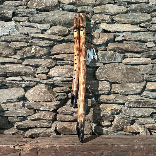 E-B Aeolian Scale Harmony Drone Aeolian 34" 432Hz