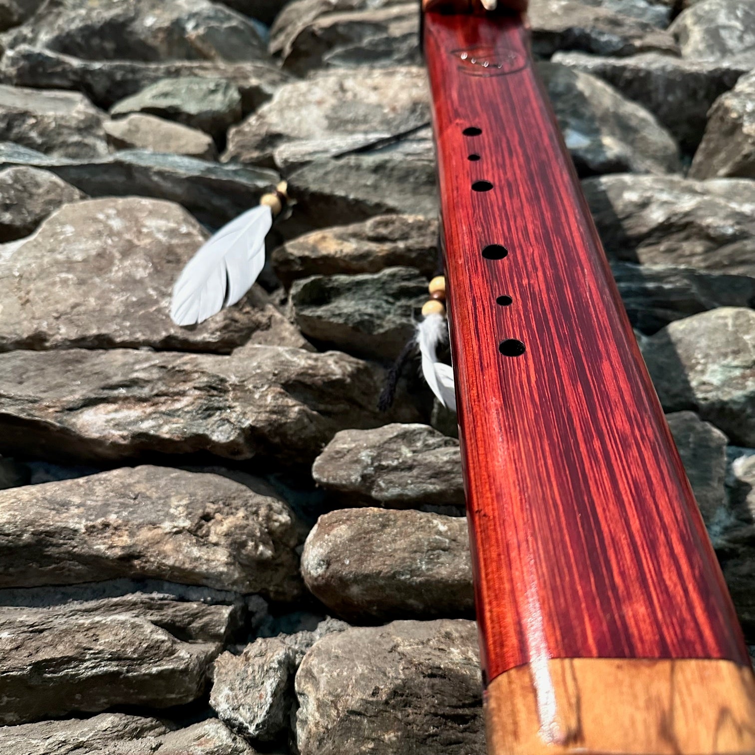Dolphin Borneo Redwood Drone 22" F-Aeolian 432Hz