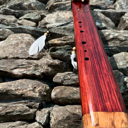 Dolphin Borneo Redwood Drone 22" F-Aeolian 432Hz
