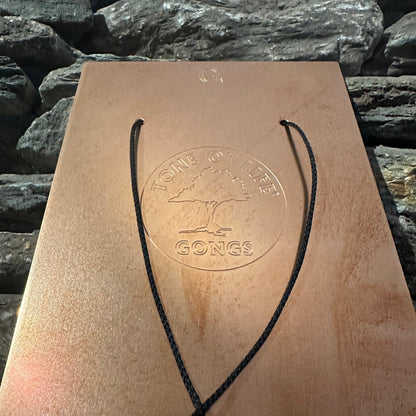 Tone of Life Bronze Bell Plates