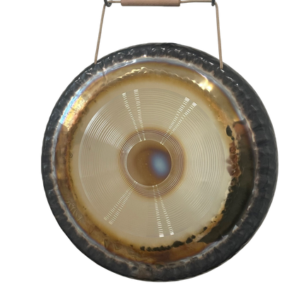 Tone of Life 22" Dance Gong