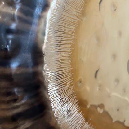 Meinl 24" Crown Chakra Gong