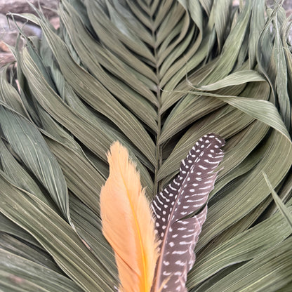 Commodore Palm Chakapa 25" Brown & Tan Fabric with Cream Cord