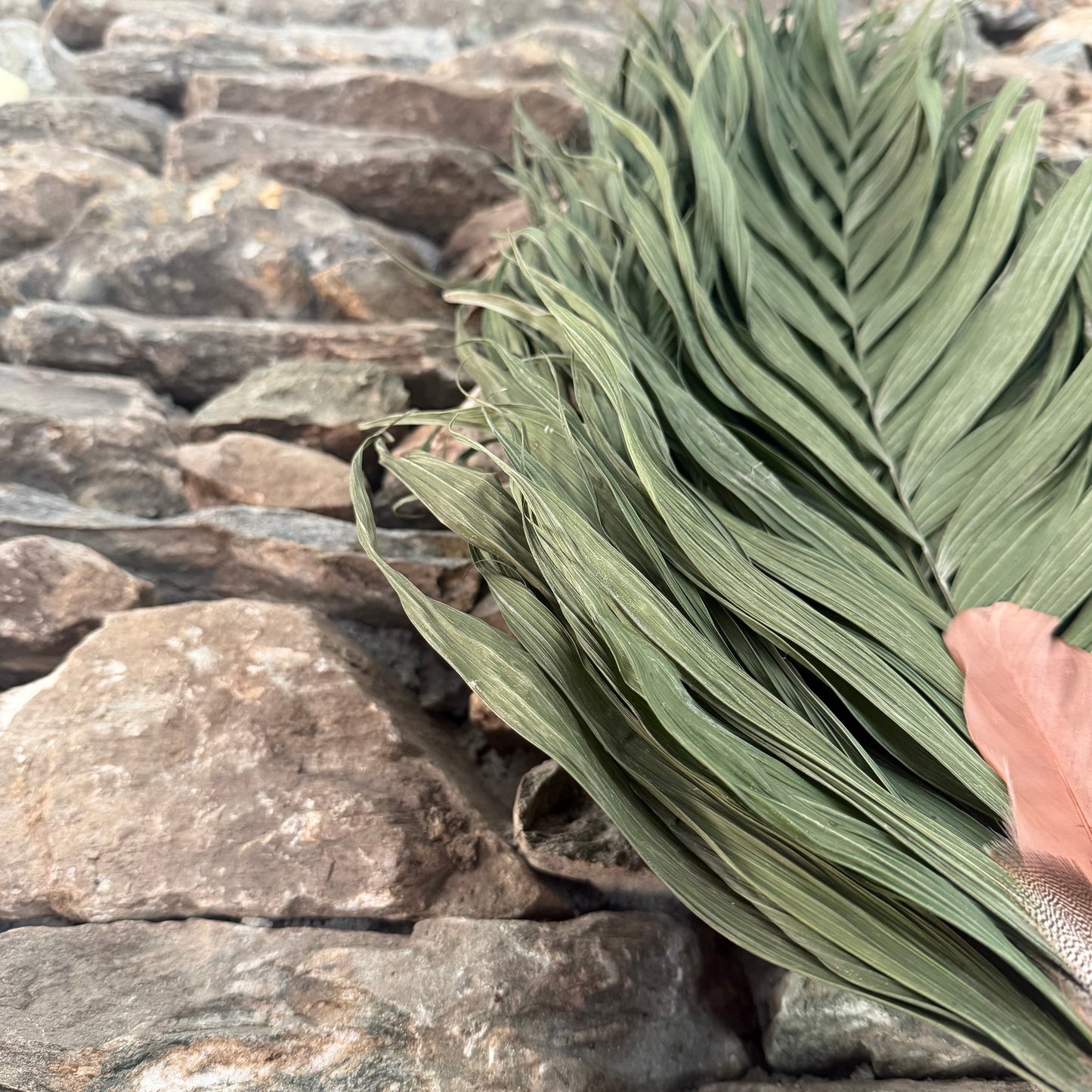 Commodore Palm Chakapa 25" Navy Blue & White Fabric with Dark Brown Cord